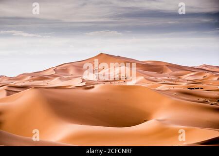 Landscape of desert with sand hills in Marrakesh and camels resting in the distance, Morocco Stock Photo