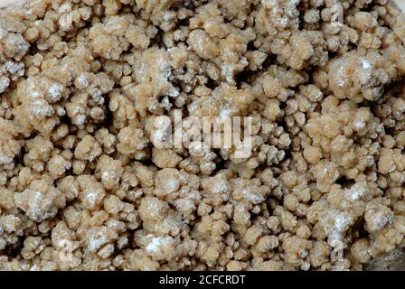 Italy, South Tyrol, Terlan winery, viticulture, cellar, wine cellar, Weinstein (white) Stock Photo
