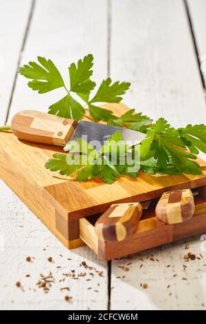 Ripe green parsley and sharp knife on wooden cutting board set Stock Photo