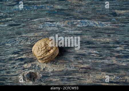 Unpeeled walnut on the table Stock Photo