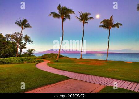 Full moon setting over Lanai at Airport Beach on Maui with palm trees.