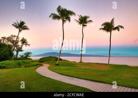 Palm tree view of airort beach on Maui at sunrise with seeting full moon.