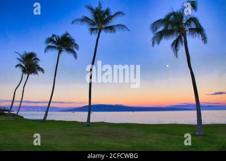 Peaceful view of airport beach at sunrise with full moon setting beyond palm trees. Stock Photo