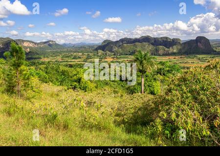 View from the 'Los Aquaticos' viewpoint over the Vinales valley ('Valle de Vinales'), Pinar del Rio province, Cuba