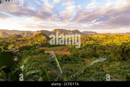 View of the Vinales valley ('Valle de Vinales') in the evening light, Pinar del Rio province, Cuba Stock Photo