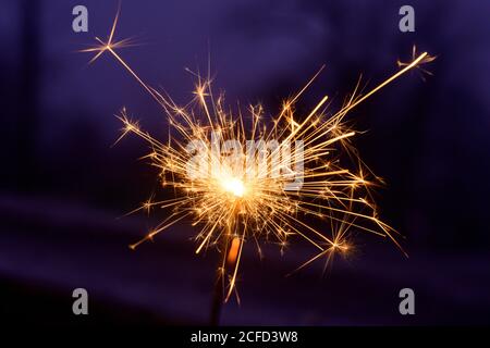 Burning sparkler. Stock Photo