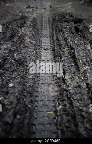 Bicycle tracks in the mud, Woodland Walk Recreation Reserve, Hanmer Springs 7334 Stock Photo