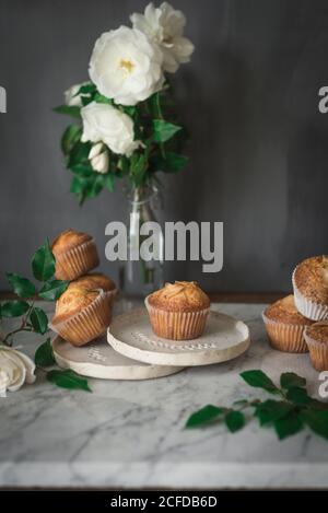 Still life of tasty yogurt cupcakes on round plates in arrangement with green leaves and aromatic white roses in glass vase on marble table against gray wall in kitchen Stock Photo