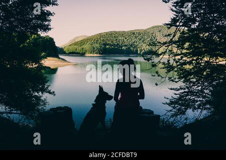 Silhouette of female traveler with dog admiring picturesque view of lake and forest in summer day Stock Photo