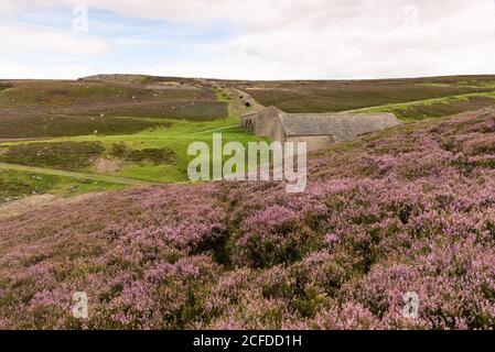 Grinton smelt mill and chimney flue Stock Photo