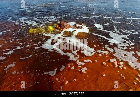 Hot, yellow-green bubbling sources of hypersaline water in the Gaet'ale pond, also oil pond, Dallol geothermal area, Hamadela, Danakil depression, Stock Photo