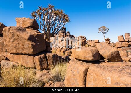 'Giant's Playground' rock formations at Quiver Tree Forest Rest Camp, Keetmanshoop, Namibia Stock Photo