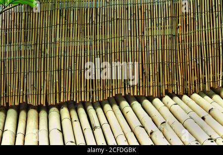 Sticks of brown and green bamboo in different shades pattern background. Stock Photo