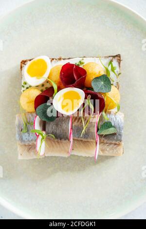 Overhead yummy fish sandwich with fresh vegetables and boiled quail eggs placed on plate in cafe Stock Photo
