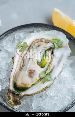 Lemon on delicious oysters on Ice cube on a bowl in a white background in a restaurant Stock Photo