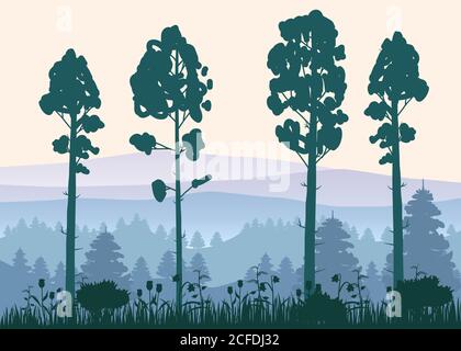 Sunny forest background. Vector illustration of woods in forest in sunlight background. Isolated Stock Vector