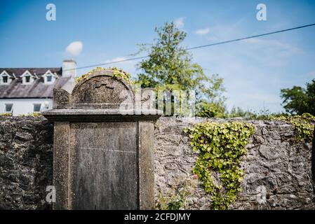 Ivy-covered wall of Black Abbey in Kilkenny, Ireland Stock Photo