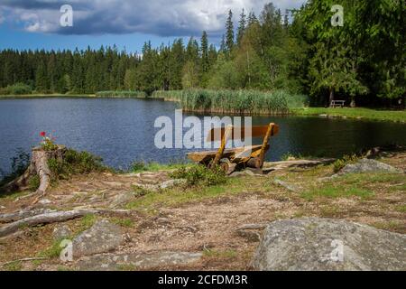 Bench at the Stierhüblteich, lake near Karlstift - hiking around Karlstift, Waldviertel, Austria Stock Photo