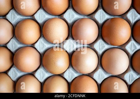 closeup of fresh chicken egg on egg box, panel, on white background with one fragile egg shell for cook for food of meal and fresh and natural egg for Stock Photo