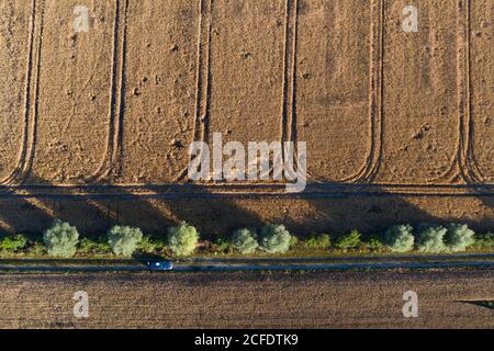 Grain field with traces of agricultural machinery, seen from the air. Stock Photo