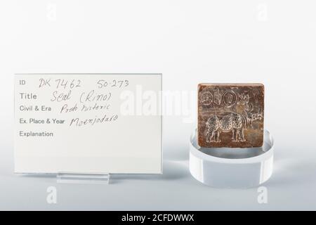 Ancient seal of rhino, from Mohenjo daro, Indus valley civilization Gallery, National Museum of Pakistan, Karachi, Sindh, Pakistan, South Asia, Asia Stock Photo