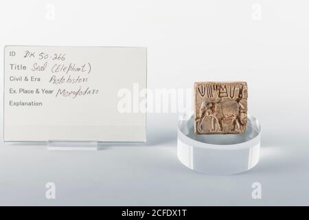 Seal of Elephant, from Mohenjo daro, Indus valley civilization Gallery, National Museum of Pakistan, Karachi, Sindh, Pakistan, South Asia, Asia Stock Photo