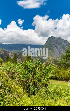 Viewpoint Point du Jour Hell Bourg, view of the Piton d'Anchain in the Cirque de Salazie volcanic basin, 1356 m, Hell-Bourg, Reunion Island, France, Stock Photo