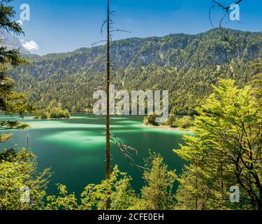 On the way at the Eibsee under the Zugspitze, Bavaria, Germany Stock Photo