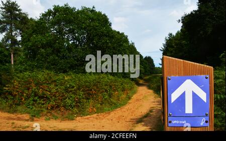 Rendlesham, Suffolk, GB, United Kingdom, England, N 52 7' 35'', N 1 24 ...