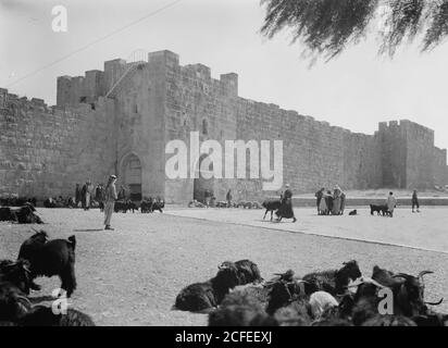 Original Caption:  Herod's Gate  - Location: Jerusalem ca.  1940-1946 Stock Photo