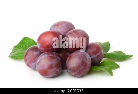 Group of fresh purple plums and leaves isolated on white Stock Photo