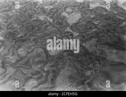 Original Caption:  Air route to Baghdad via Amman and the desert. Iraqian desert. Curious markings. Probably of bituminous origin  - Location: Iraq ca.  1932 Stock Photo