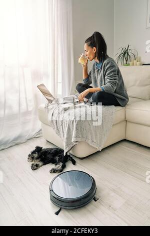 Woman sitting on sofa in light room working on a computer and drinking cold beverage with cute puppy lying down next round black robotic vacuum cleaner Stock Photo