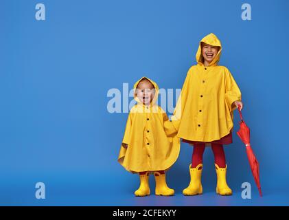 Two happy funny children with red umbrella posing on blue wall background. Girls is wearing yellow raincoat and rubber boots. Stock Photo