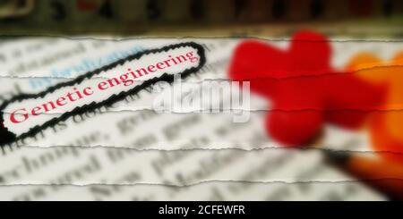 Genetic Engineering word highlighted with closeup view on book word educational related terminology presented for students awareness. Stock Photo