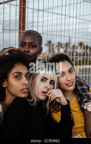 Diverse group of smiling women hugging together on lawn Stock Photo