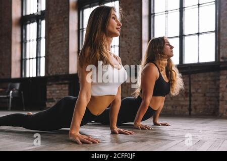 Two young women do complex of stretching yoga asanas in loft style class. Urdhva Mukha Svanasana - Upward-Facing Dog Pose. Stock Photo
