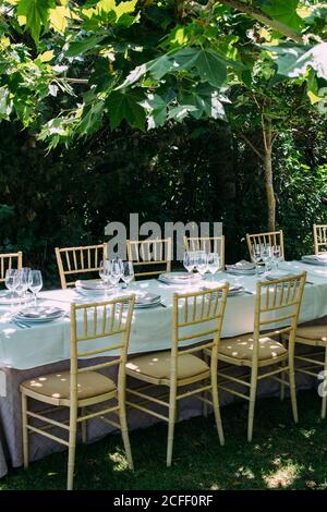 Outdoor rustic celebration table with cutlery and glasses Stock Photo