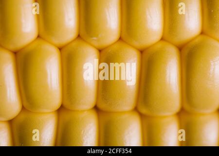 Closeup textured background of yellow kernels of ripe sweet corn Stock Photo