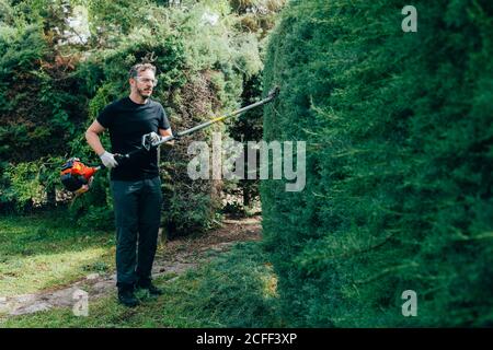 Caucasian man trimming an arizonica hedge with mechanical tools Stock Photo