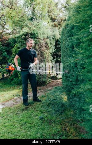 Caucasian man trimming an arizonica hedge with mechanical tools Stock Photo