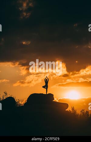 Yoga pose silhouetter with sunset background vector 01 free download