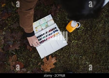 From above of crop female artist taking box with watercolor paints while spending time in autumn forest with green grass and brown leaves on background Stock Photo