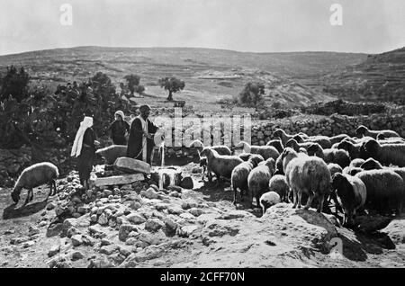 'Middle East History - Set of thirteen select slides of shepherd life illustrating the Twenty-Third Psalm. ''My cup runneth over''' Stock Photo