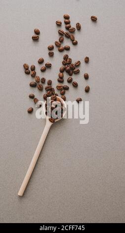 Fragrant brown coffee beans in spoon being scattered around on gray background Stock Photo