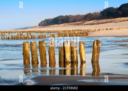 Baltic coast with wooden breakwaters in foggy day. Stock Photo