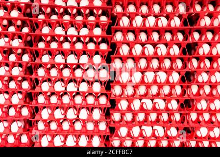 Close-up isolated view of many red colored plastic trays with white chicken eggs delivered to a store, seen in the Philippines, Asia Stock Photo