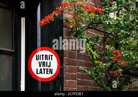 Black door frame with a 'Keep exit clear' sign in Dutch and a bush with red berries near it. Focus on the sign, shallow depth of field. Stock Photo