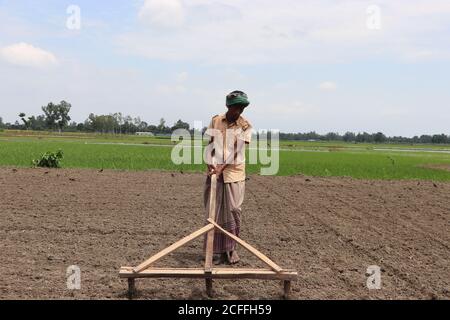 Asian farmer plowing agricultural land holding a wooden manual plow in his hand in rural Bogura, Bangladesh Stock Photo