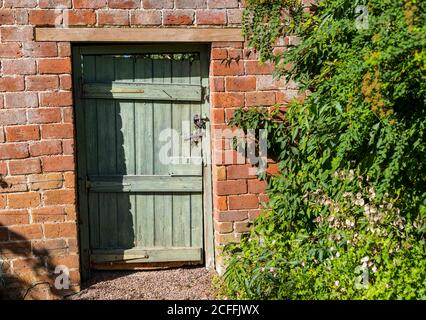 An old green painted wooden gate door in a red brick wall in a walled garden on a sunny day, Scotland, UK Stock Photo